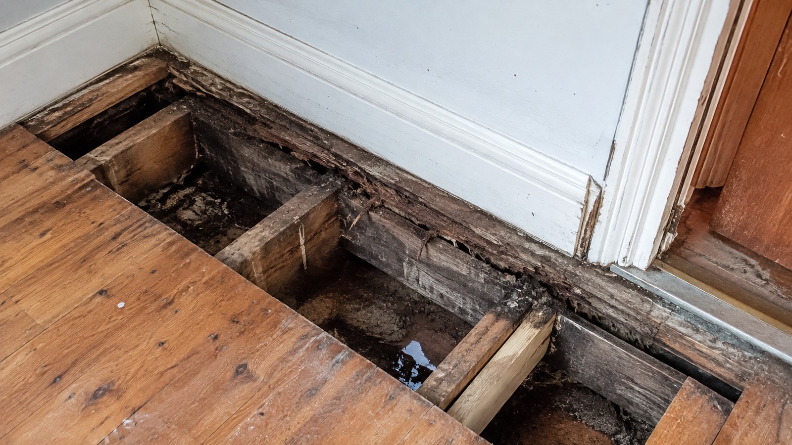 Opened building structure showing floor and support conditions